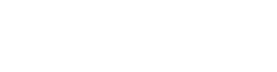 CAIR33